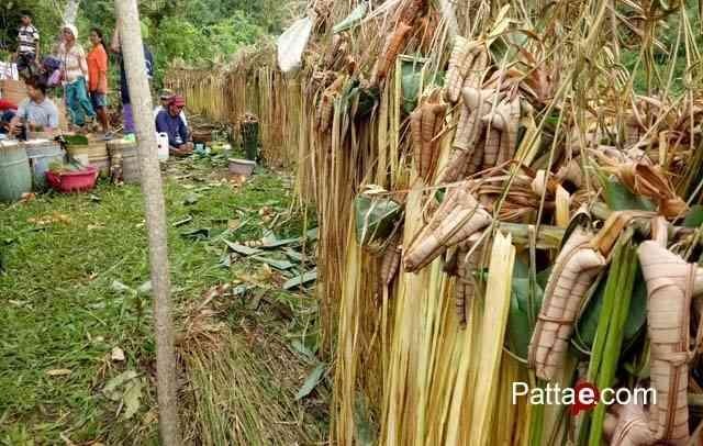 Proses pelaksanaan Ritual Mimala Mattamba Bulung oleh masyarakat Etnis Pattae' di Dusun Cendana Desa Kaleok, Kec. Binuang, Polewali Mandar. Minggu 18/2/2018. Photografer : Amri Proses pelaksanaan Ritual Mimala Mattamba Bulung oleh masyarakat Etnis Pattae' di Dusun Cendana Desa Kaleok, Kec. Binuang, Polewali Mandar. Minggu 18/2/2018. Photografer : Amri